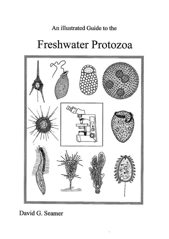 Freshwater Protozoa