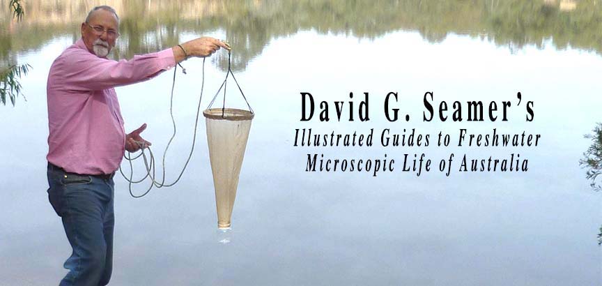 David Seamer Illustrated Guides