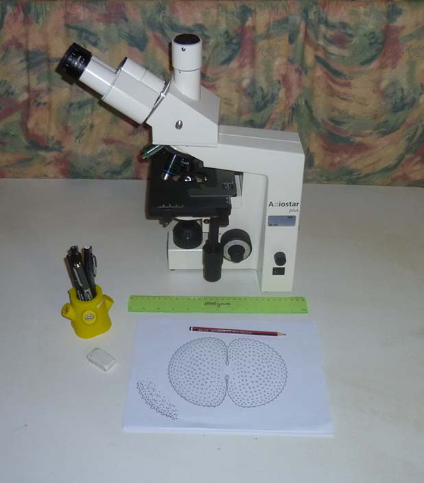 Microscope and drawing paper